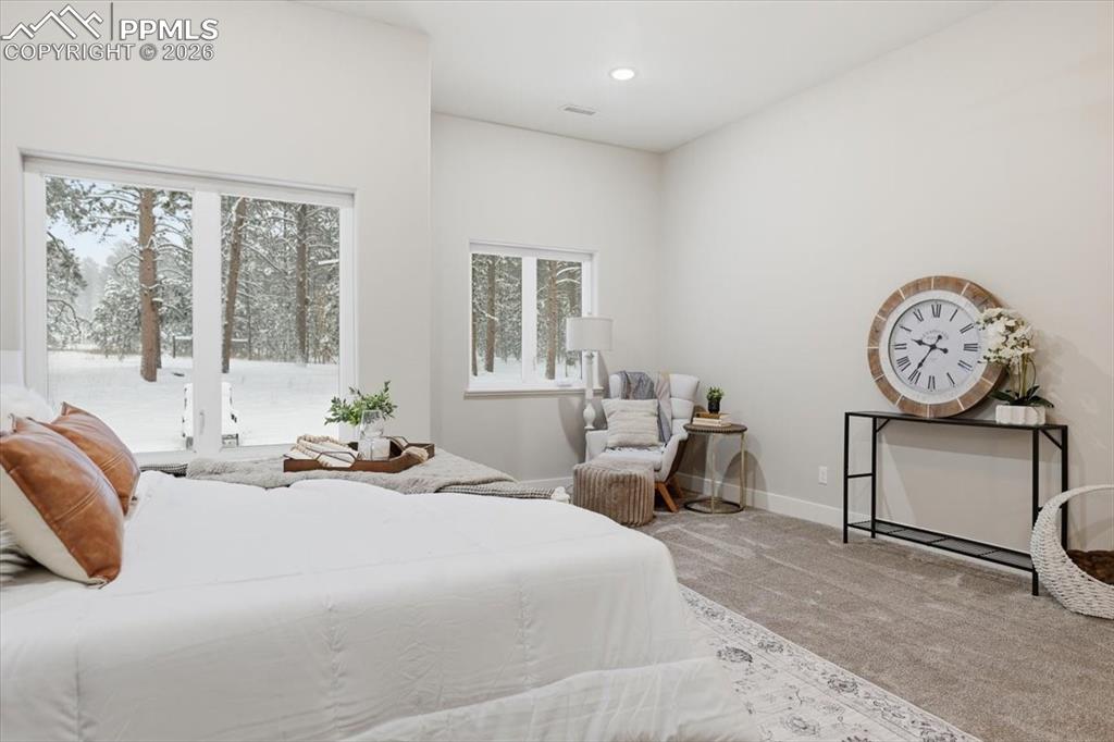 15755 Fool's Gold Lane Colorado Springs, CO 80921 - Photo 19 of 50 a bedroom with a bed a mirror and window
