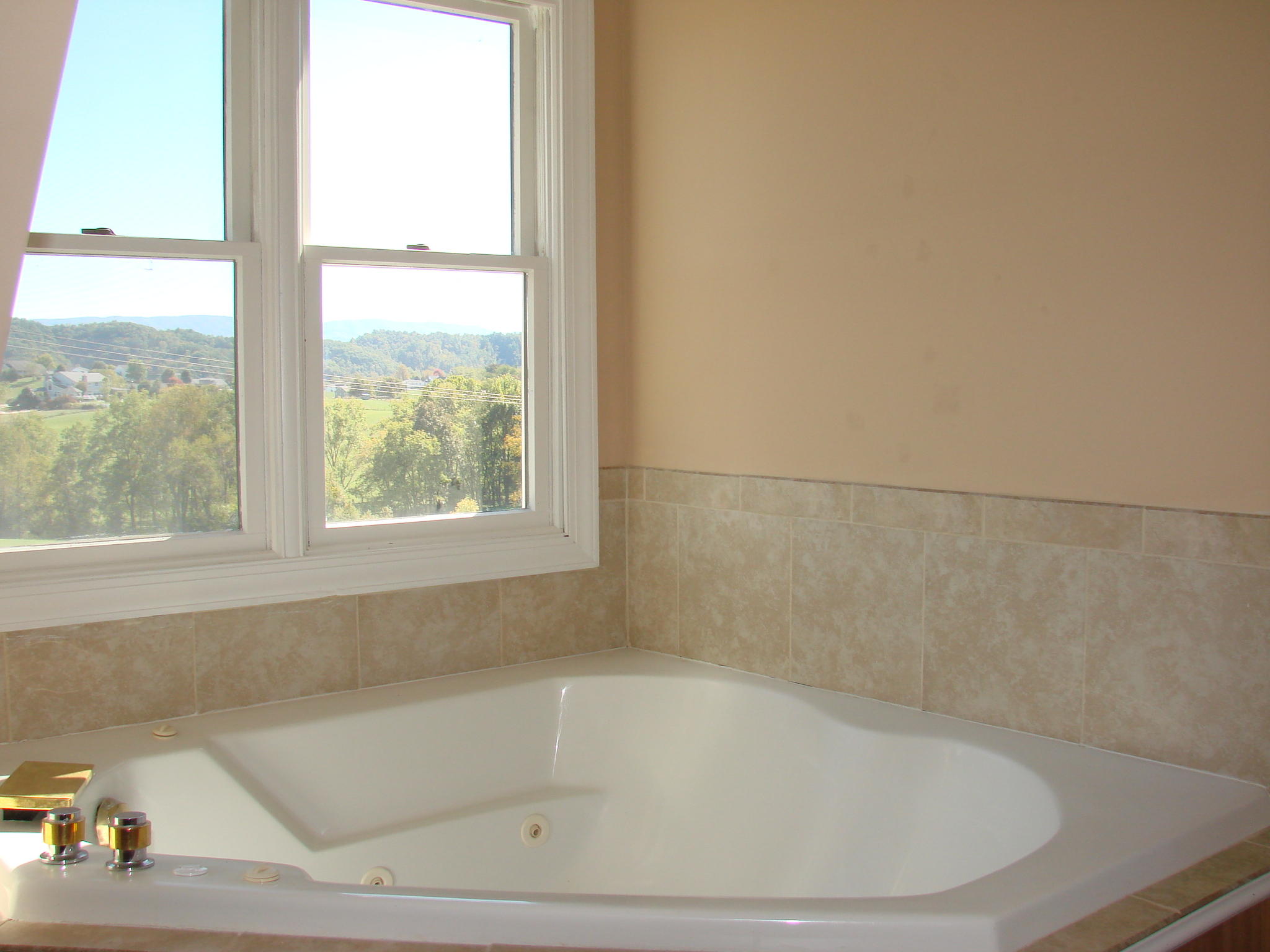 25211 Watauga Road Abingdon, VA 24211 - Photo 11 of 60 DSC09580