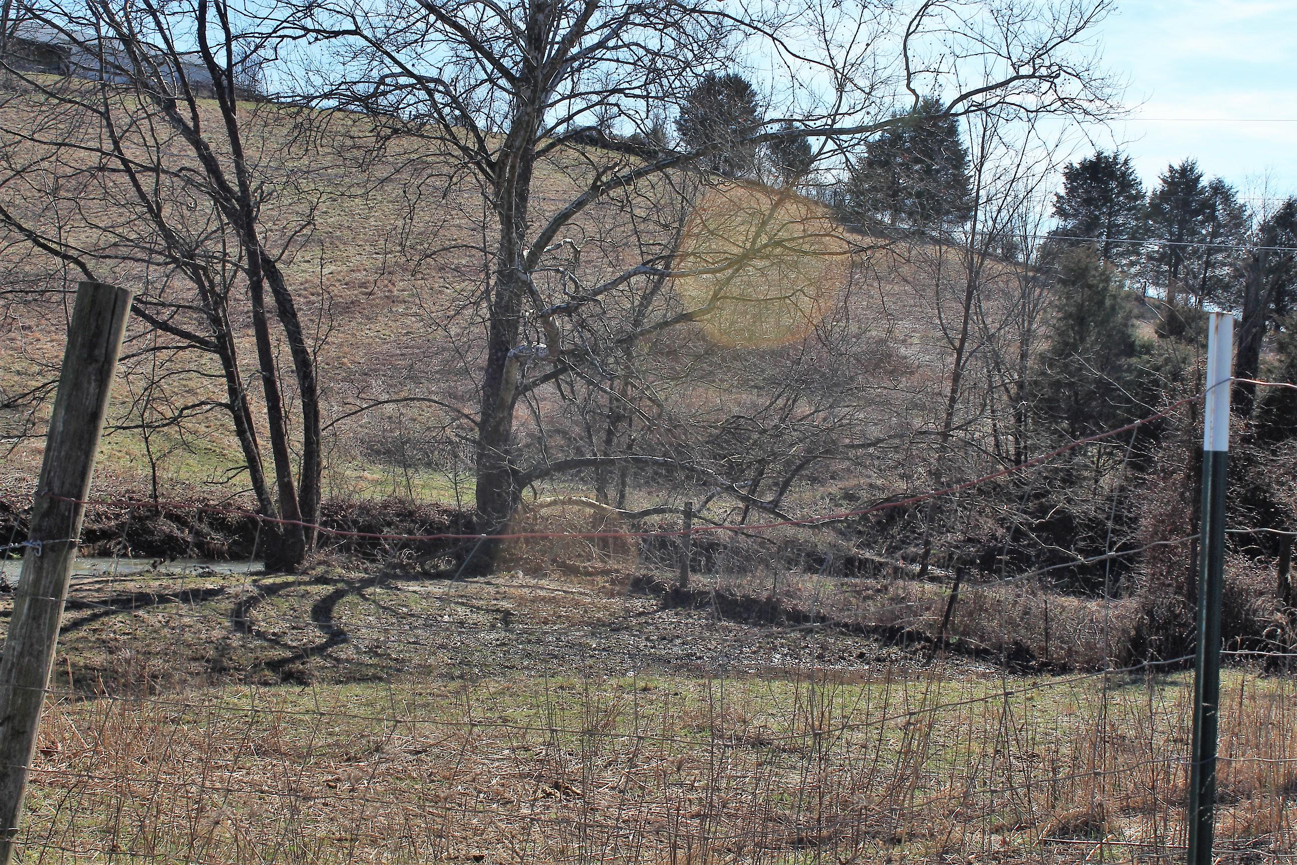 25211 Watauga Road Abingdon, VA 24211 - Photo 42 of 60 IMG_6433