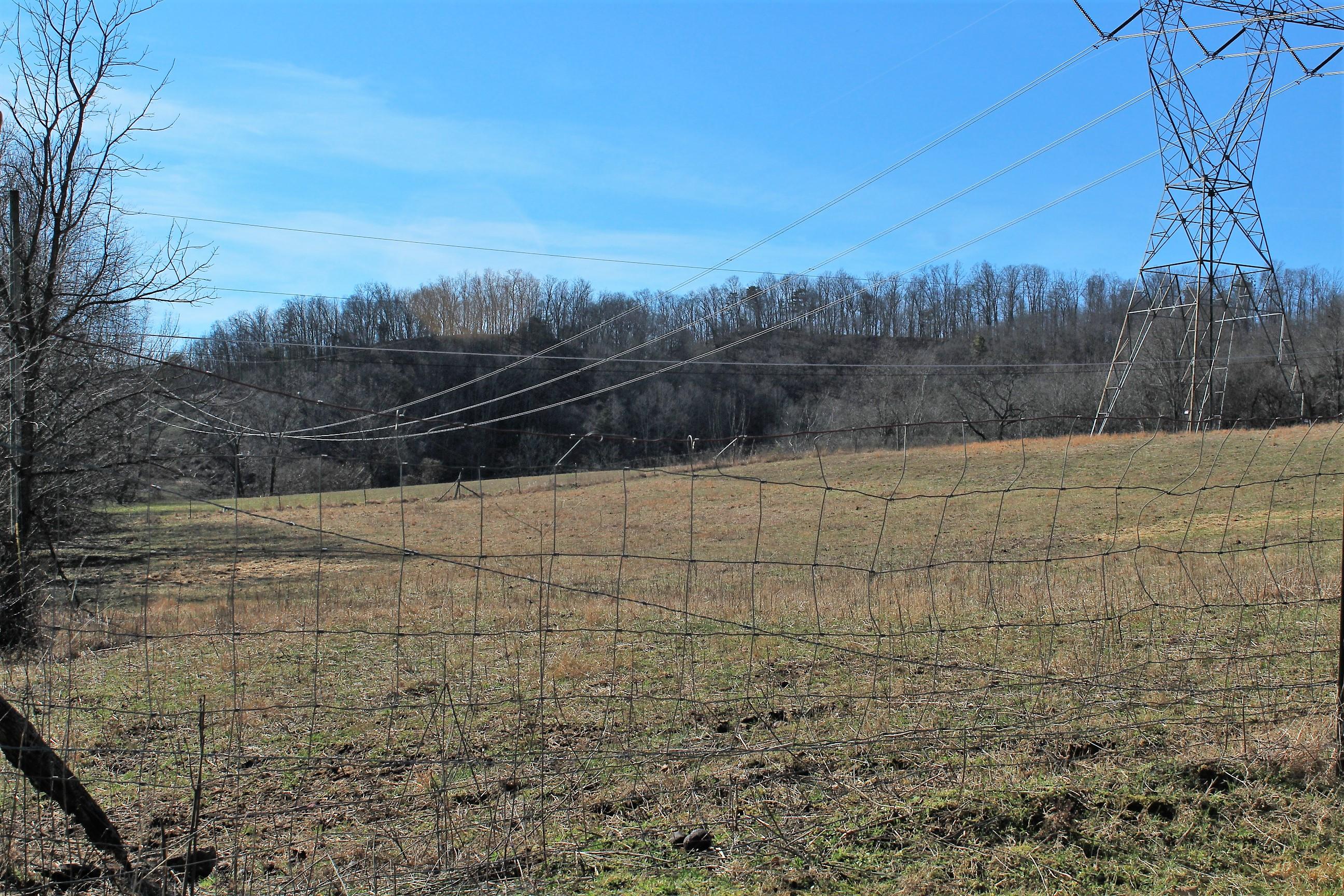 25211 Watauga Road Abingdon, VA 24211 - Photo 43 of 60 IMG_6434