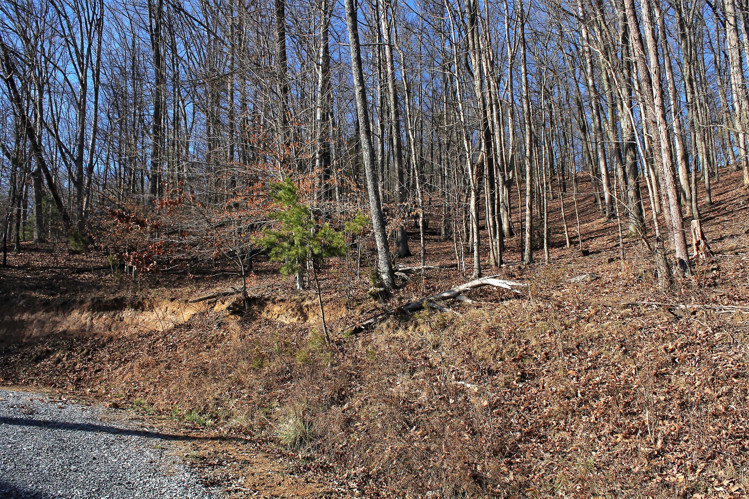 25211 Watauga Road Abingdon, VA 24211 - Photo 56 of 60 IMG_6451