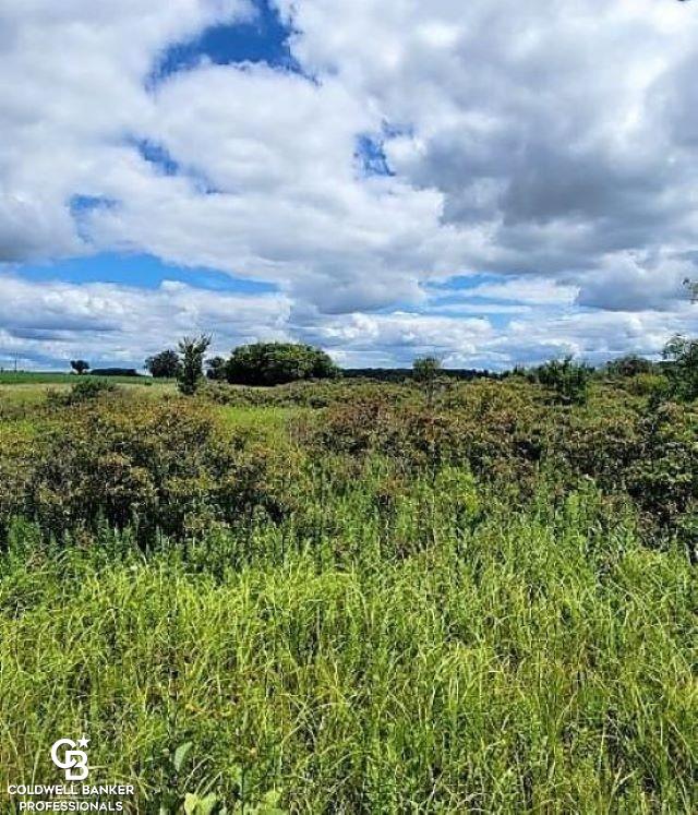 0 Brown City Road Imlay City, MI 48444 - Photo 4 of 10