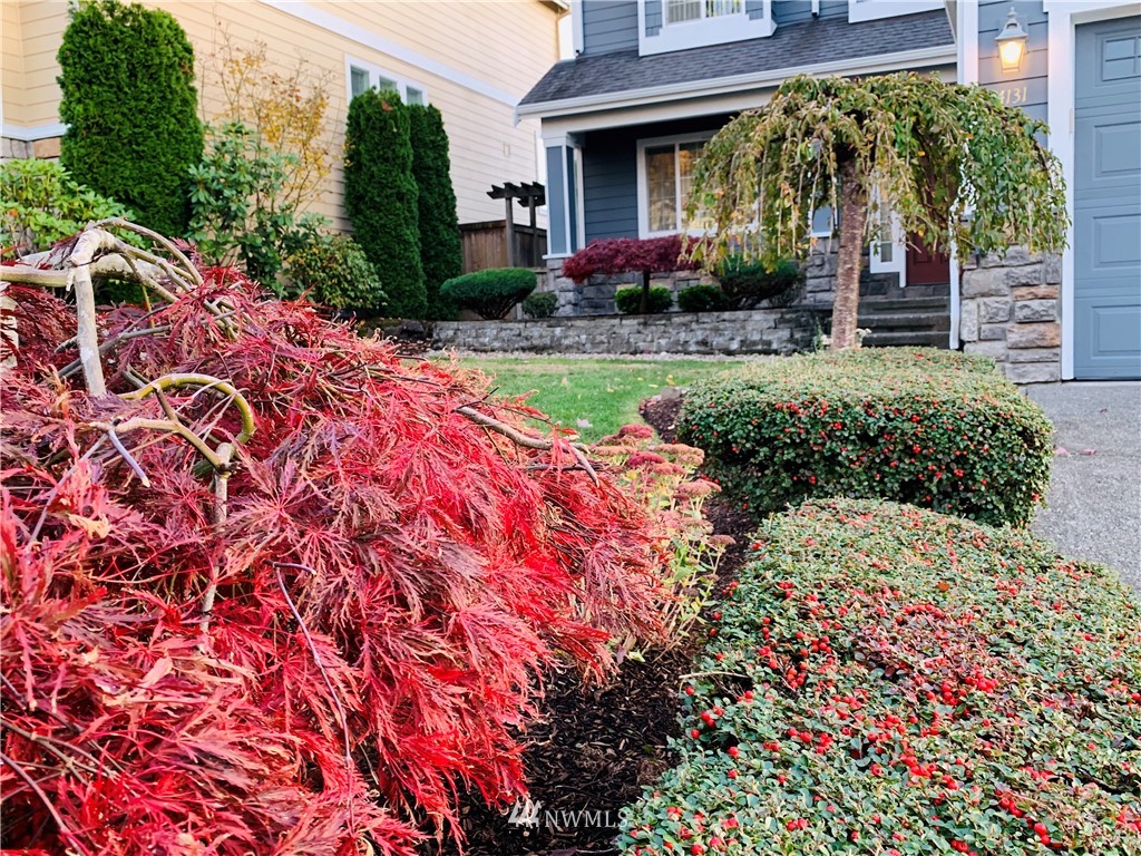 4131 Northeast 27th Place Renton, WA 98059 - Photo 23 of 27