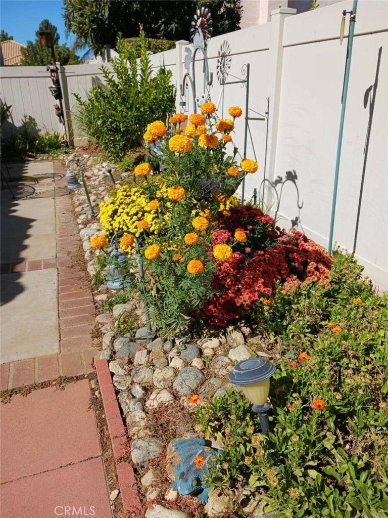 6353 Colonial Avenue Banning, CA 92220 - Photo 15 of 26 a view of a flower in a yard