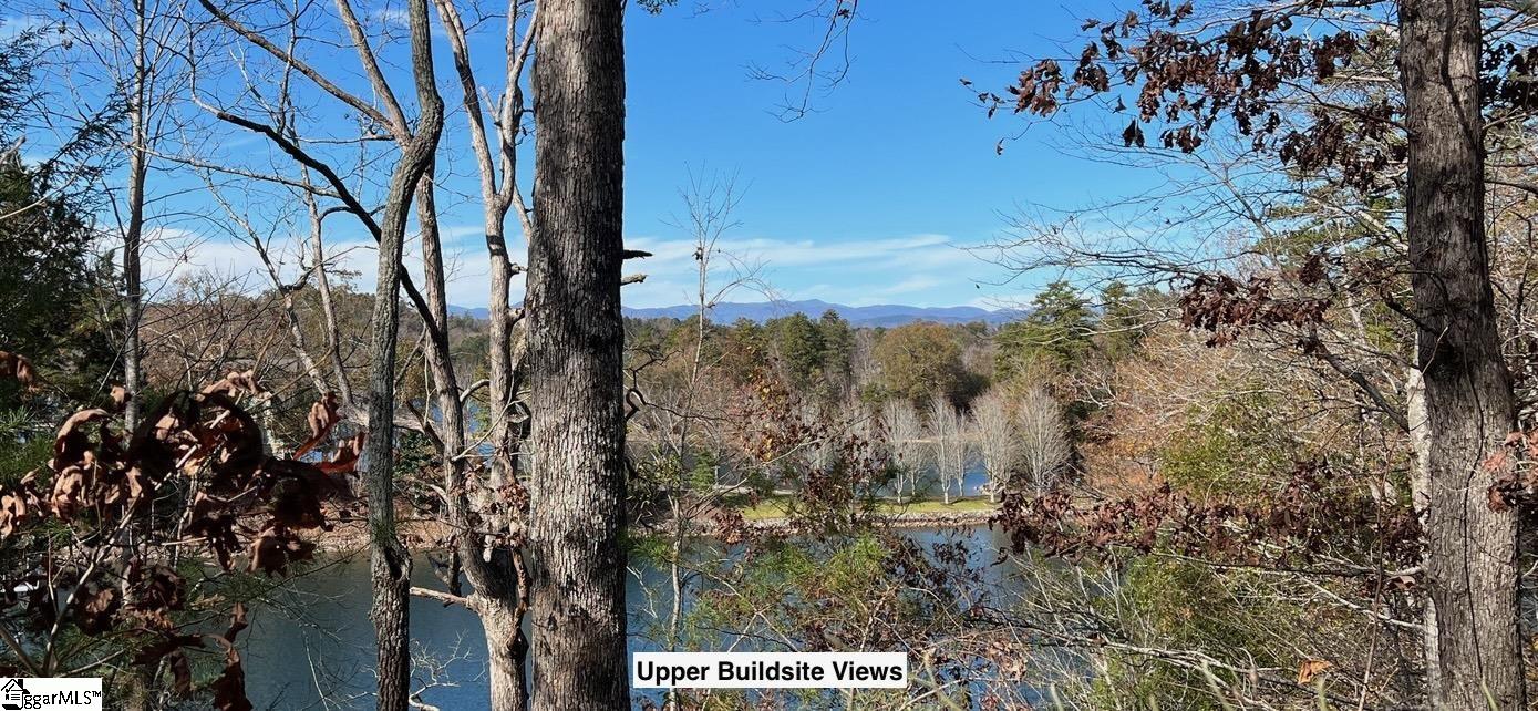 116 Yellowbear Way Sunset, SC 29685 - Photo 2 of 19 Gallery Image 2