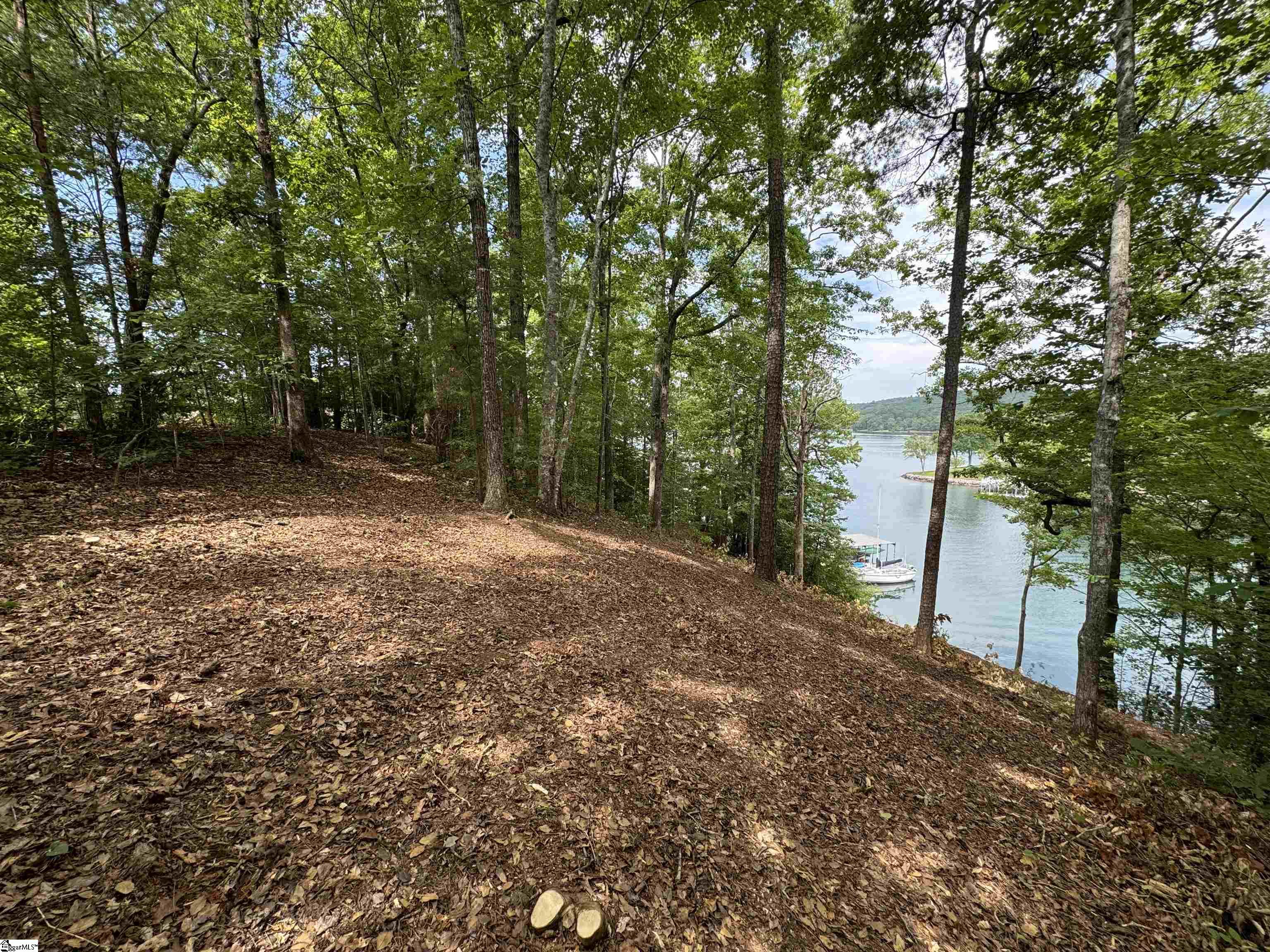 116 Yellowbear Way Sunset, SC 29685 - Photo 10 of 19 Gallery Image 10