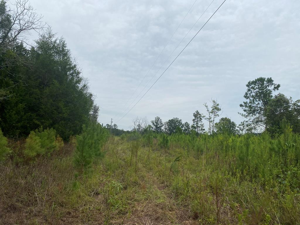 250 Adams Mill Road Clayton, AL 36016 - Photo 71 of 74