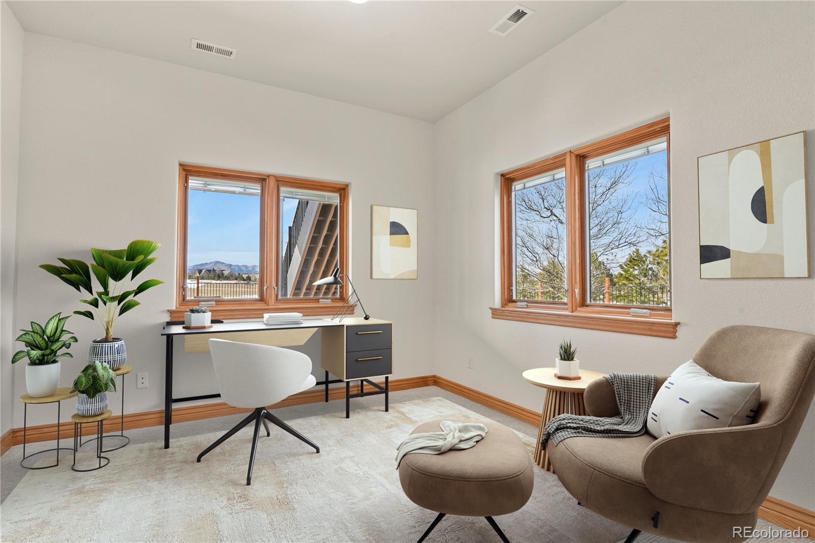 5220 Roundup Ridge Road Colorado Springs, CO 80908 - Photo 29 of 50 a living room with furniture and a potted plant