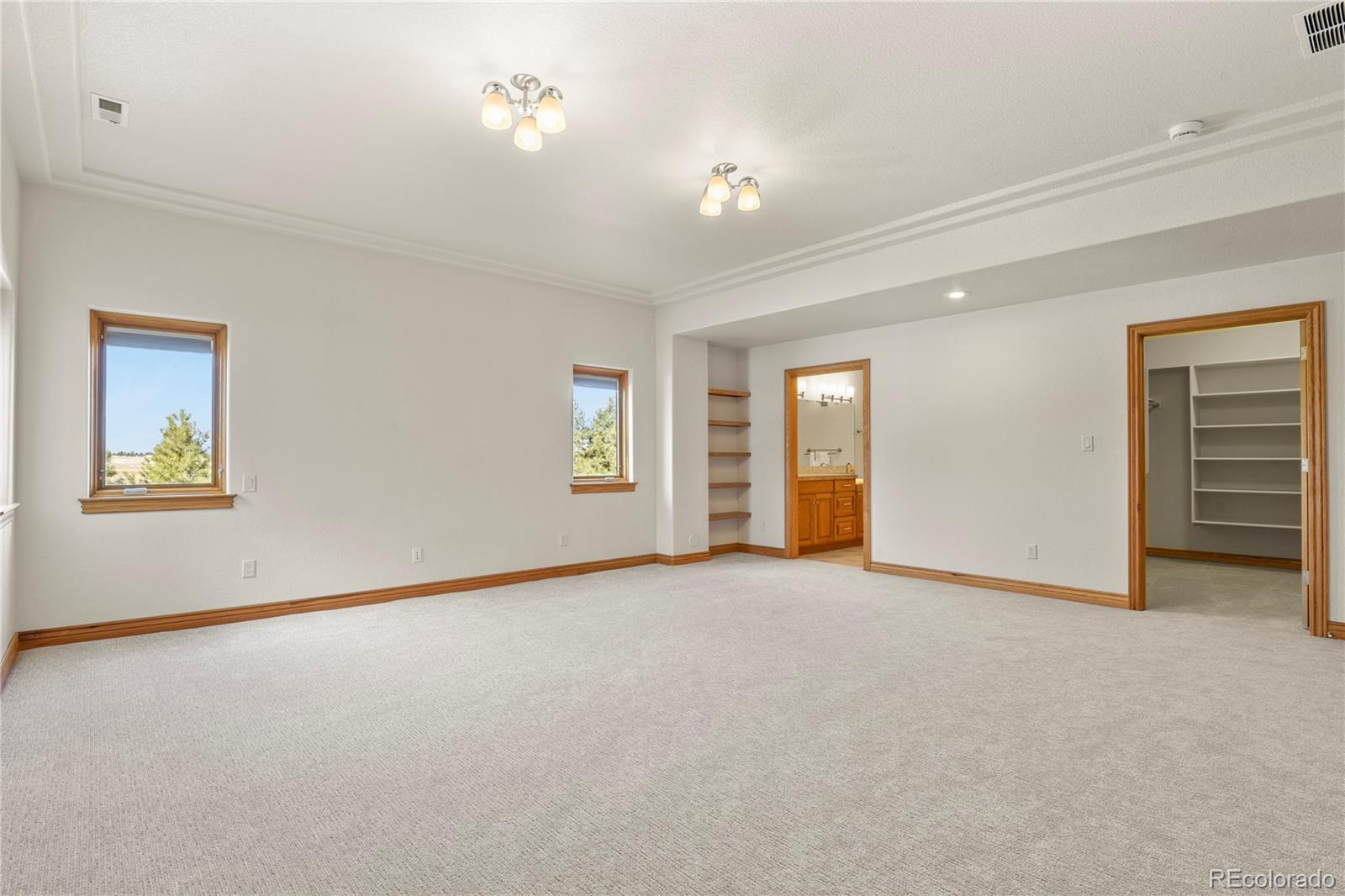 5220 Roundup Ridge Road Colorado Springs, CO 80908 - Photo 45 of 50 an empty room with windows and closet