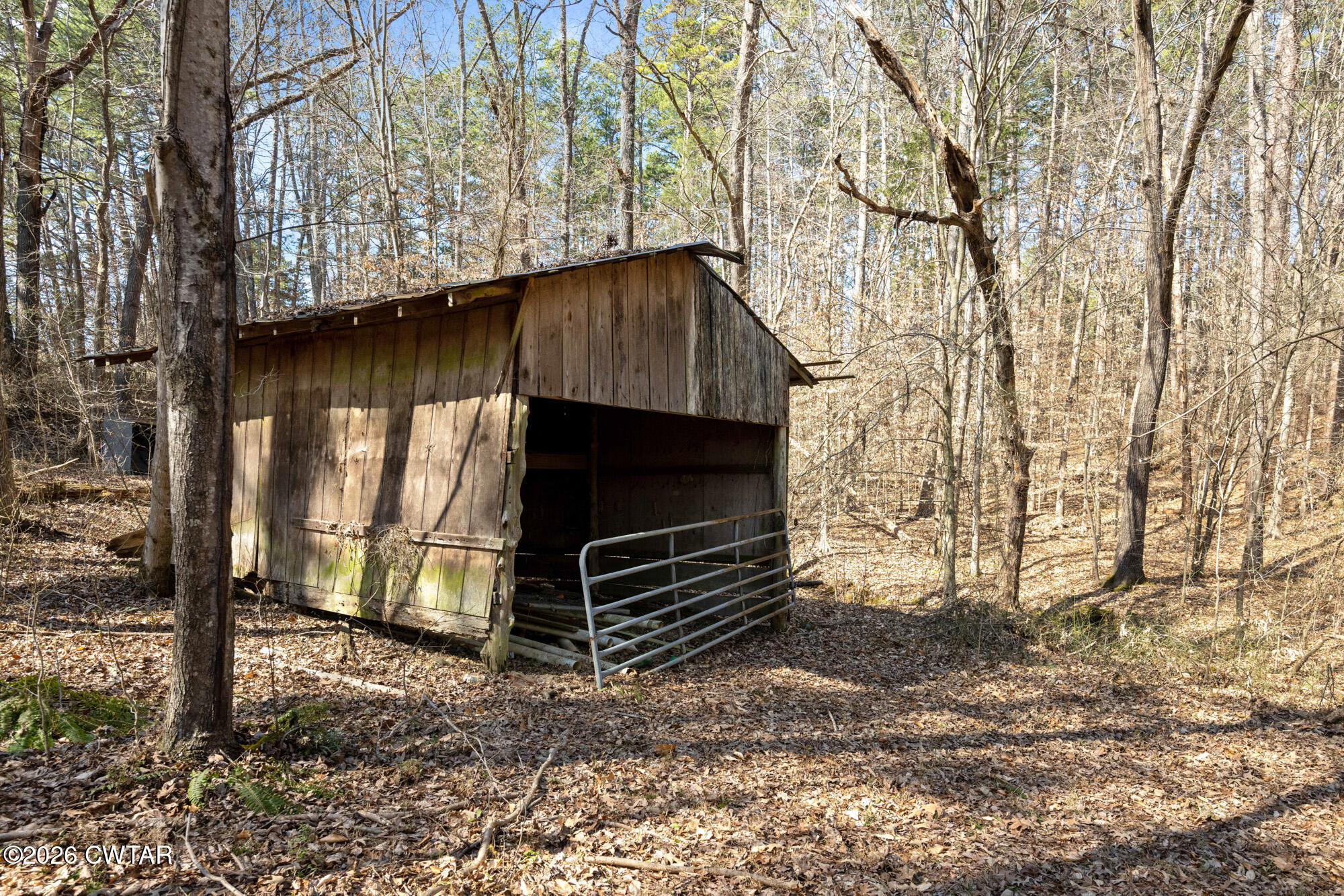 260 Myracle Town Road Parsons, TN 38363 - Photo 14 of 36 a wooden door in the middle of a yard
