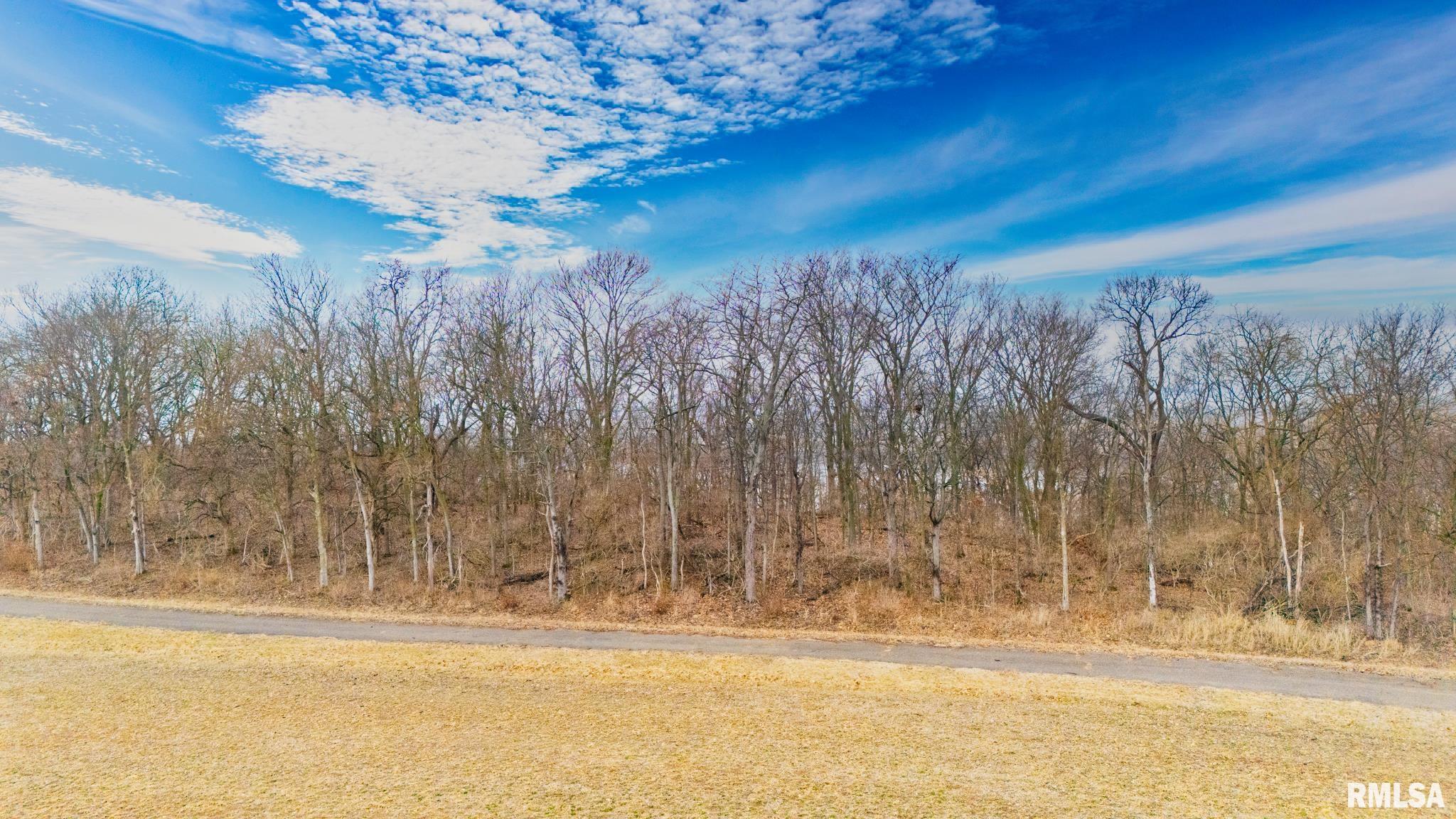 0 Galvin Place Manito, IL 61546 - Photo 15 of 16