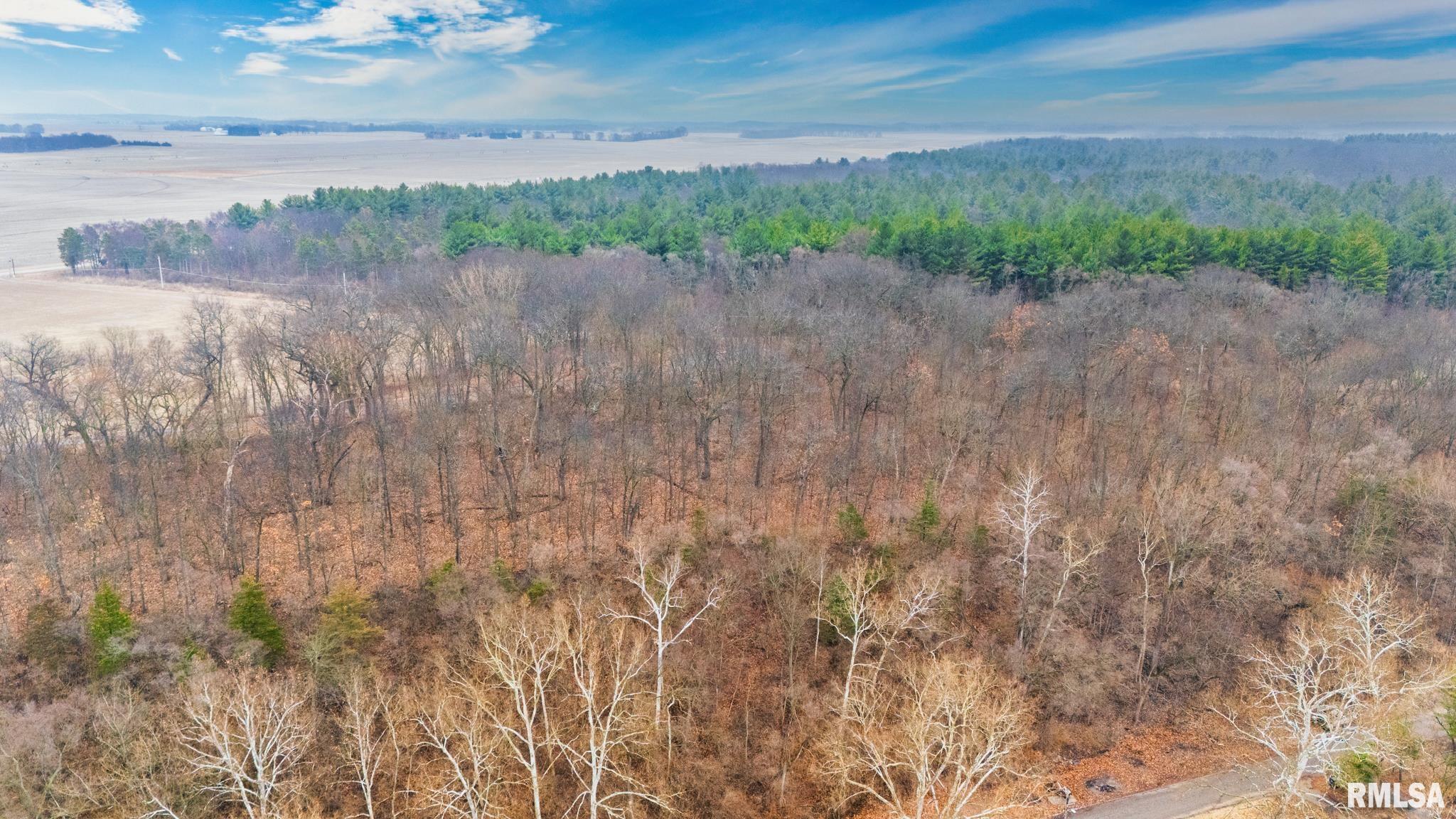 0 Galvin Place Manito, IL 61546 - Photo 10 of 16