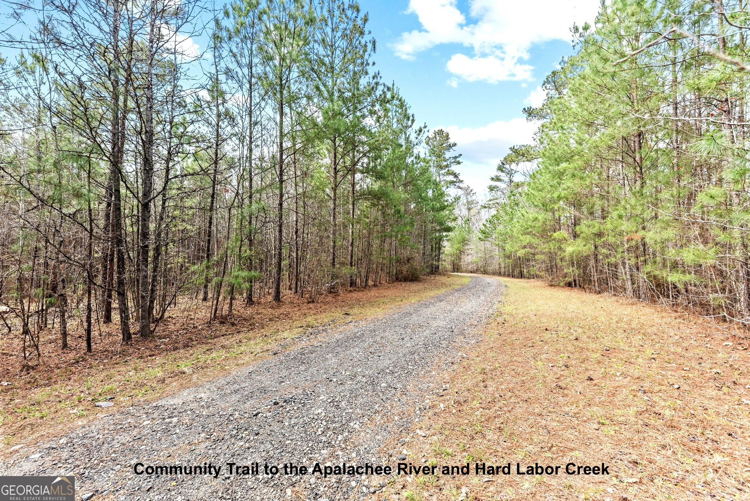 Lot 25 Apalachee Meadows Drive Madison, GA 30650 - Photo 12 of 27