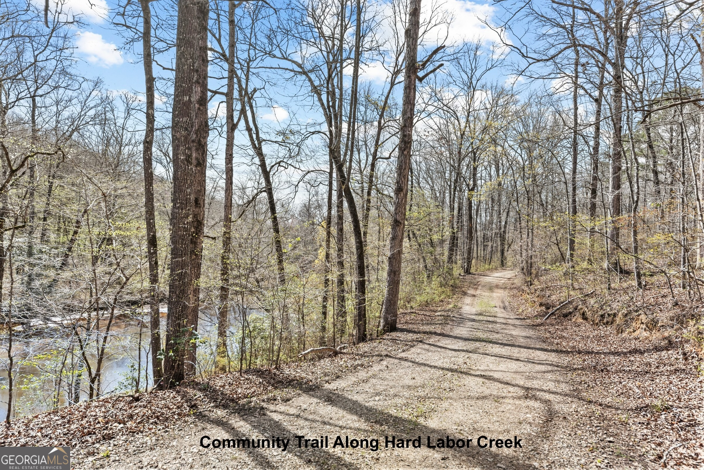 Lot 25 Apalachee Meadows Drive Madison, GA 30650 - Photo 13 of 27