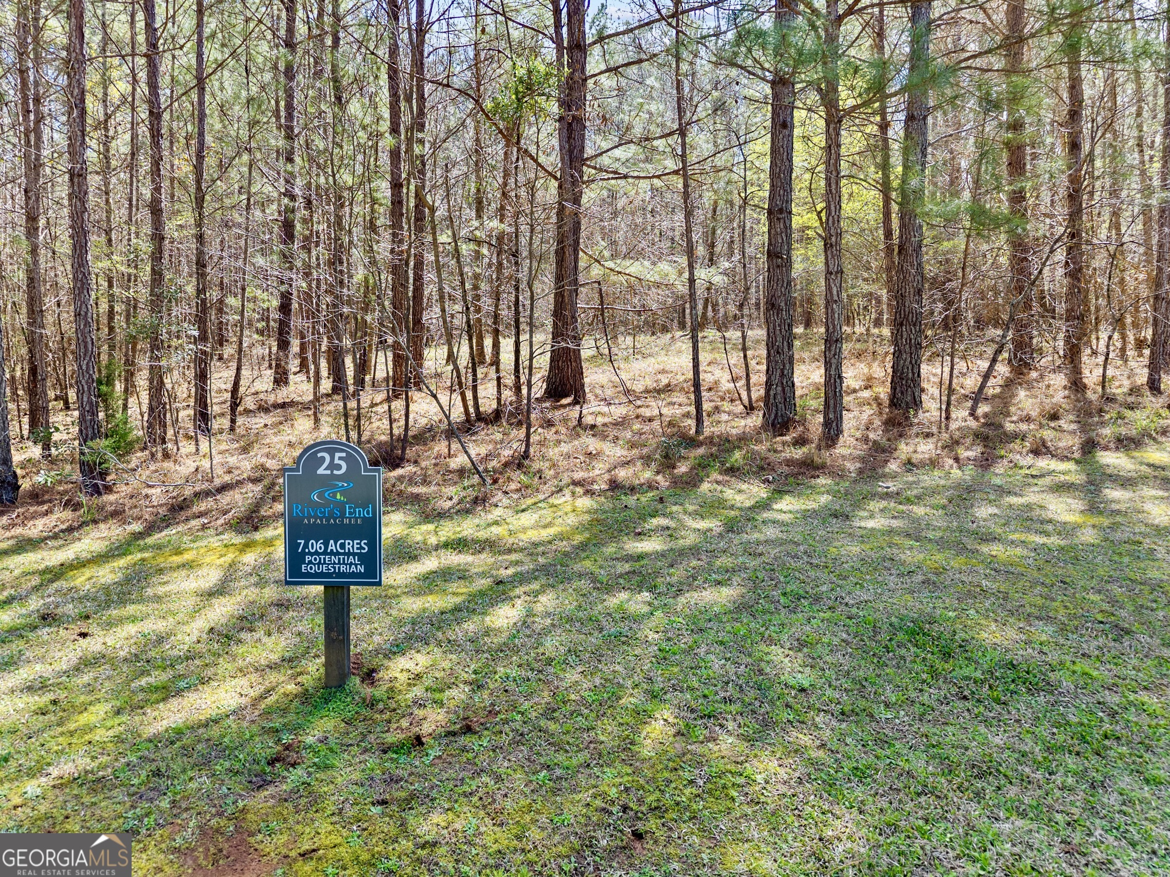 Lot 25 Apalachee Meadows Drive Madison, GA 30650 - Photo 2 of 27