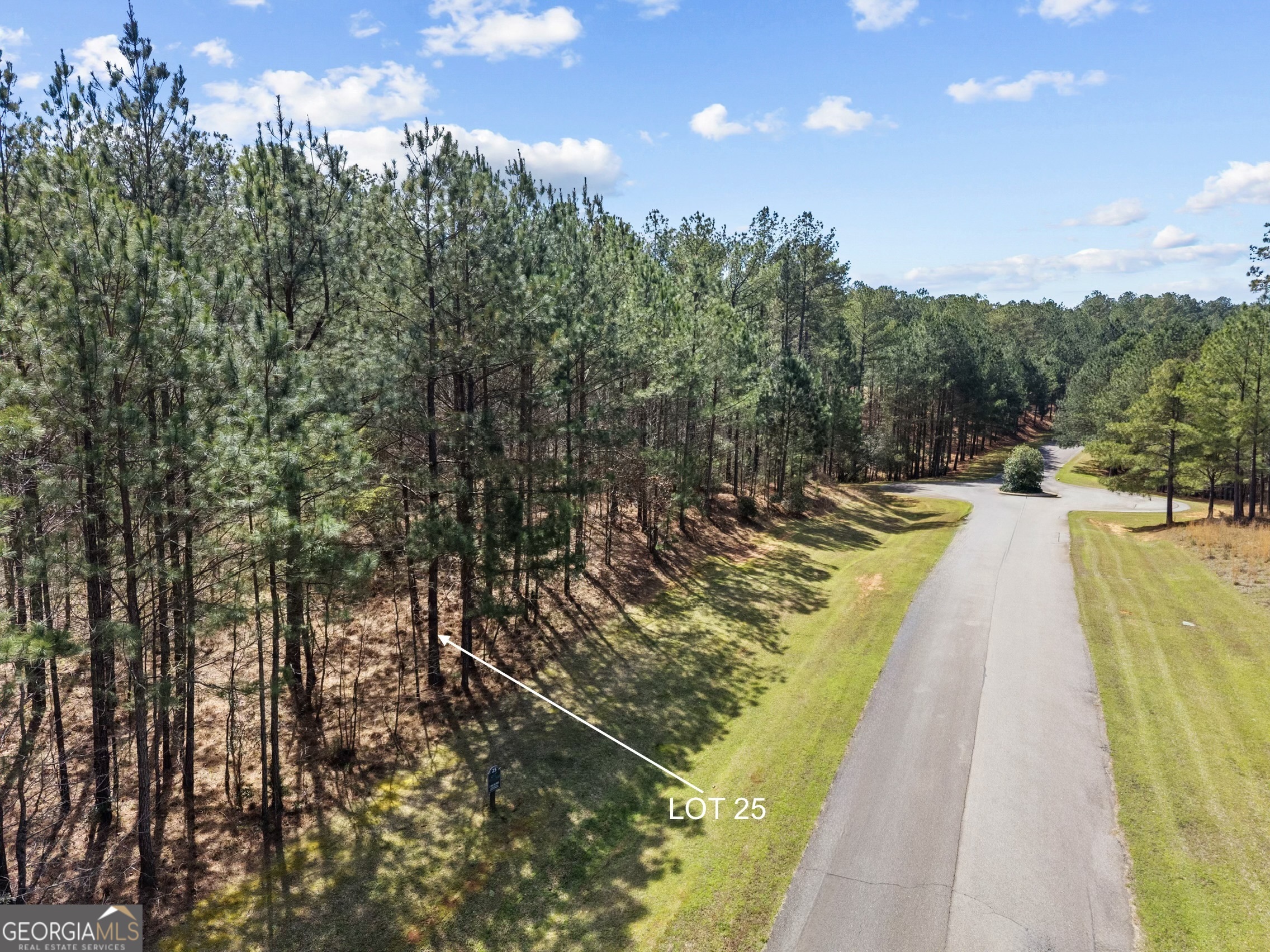 Lot 25 Apalachee Meadows Drive Madison, GA 30650 - Photo 4 of 27