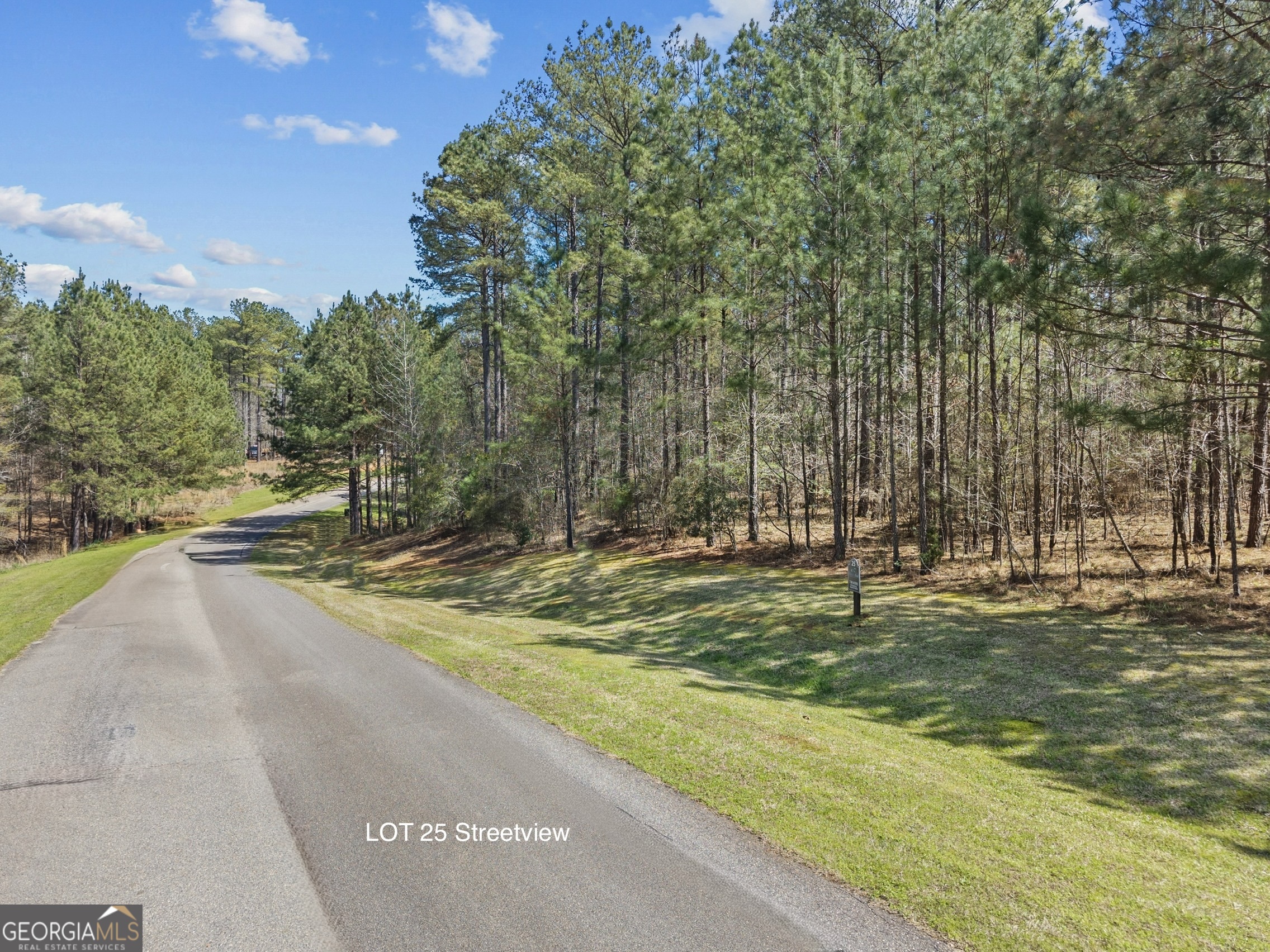 Lot 25 Apalachee Meadows Drive Madison, GA 30650 - Photo 5 of 27