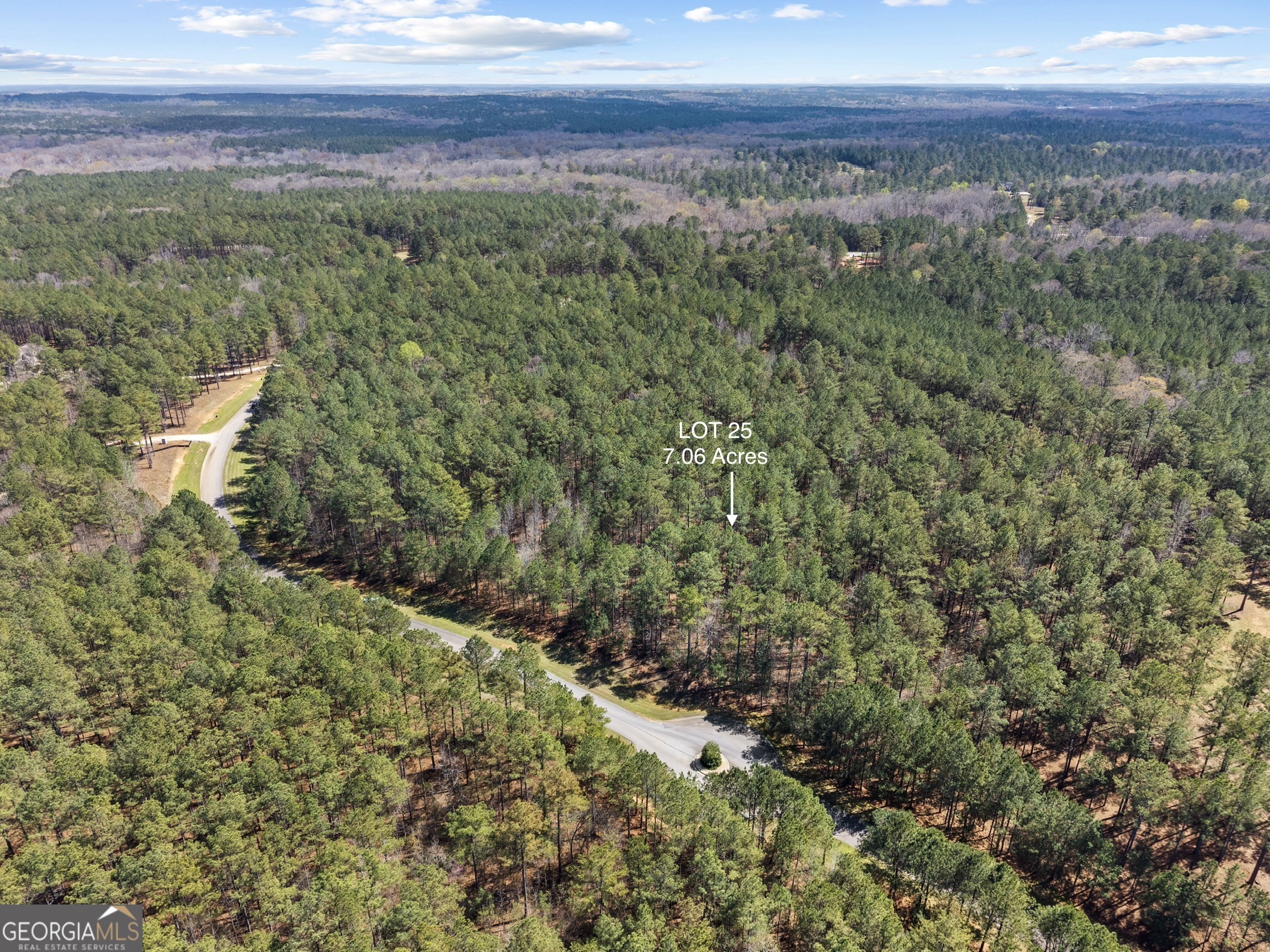 Lot 25 Apalachee Meadows Drive Madison, GA 30650 - Photo 6 of 27