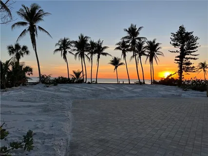 a row of palm trees on a beach