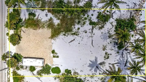 a view of outdoor space with palm trees