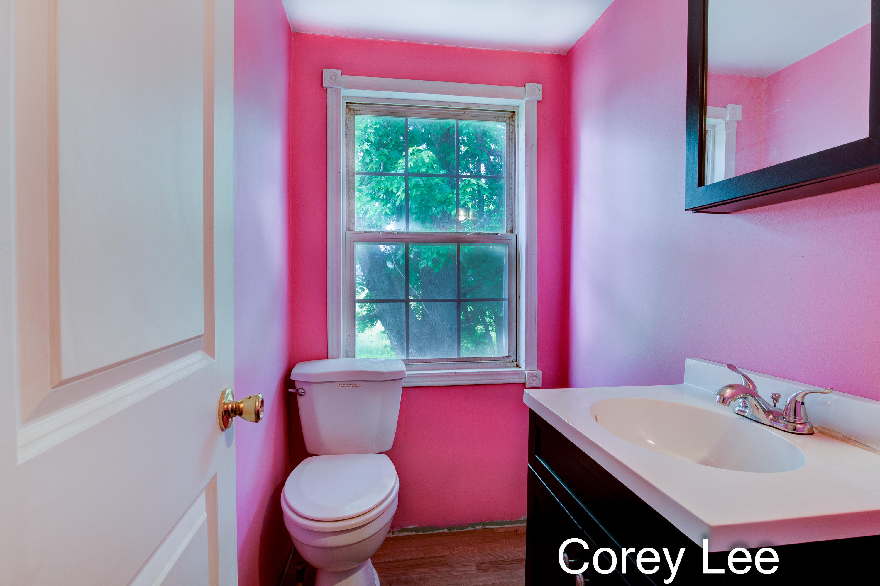 6096 Zahm Road Belding, MI 48809 - Photo 19 of 31 Final Interior-22