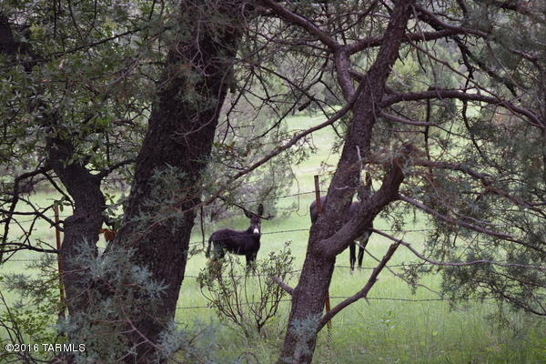 Umpire Ranch Road Elgin, AZ 85611 - Photo 19 of 27