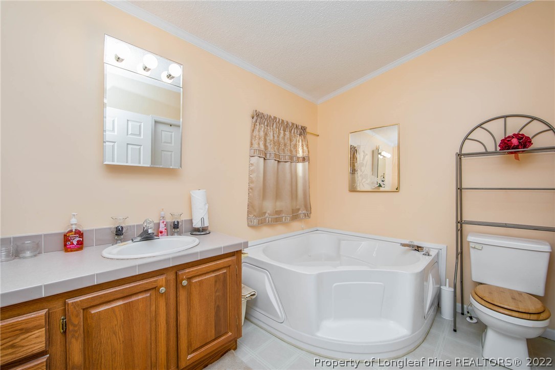 5384 Wade-Stedman Road Wade, NC 28395 - Photo 15 of 18 a bathroom with a granite countertop sink and a mirror