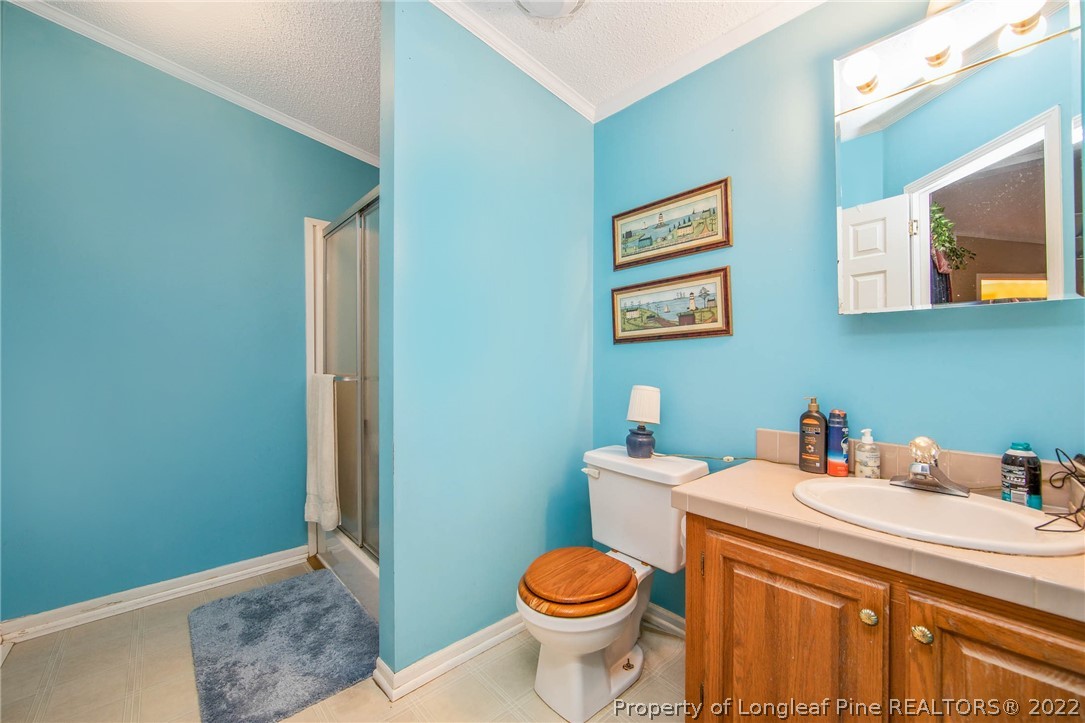 5384 Wade-Stedman Road Wade, NC 28395 - Photo 16 of 18 a bathroom with a sink and a toilet
