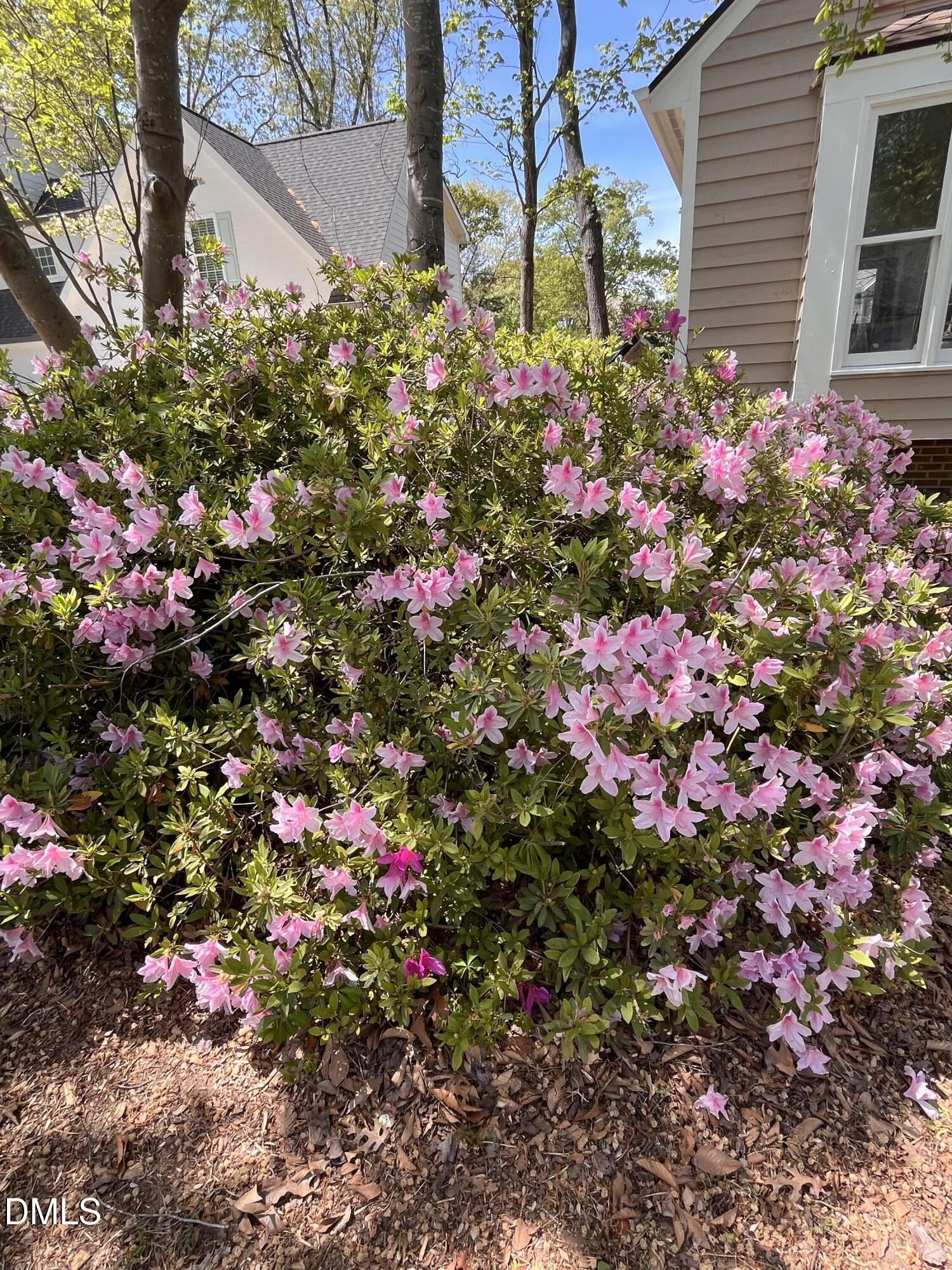 4413 Densmore Place Raleigh, NC 27612 - Photo 1 of 9 Photo Apr 09 2026, 2 05 37 PM