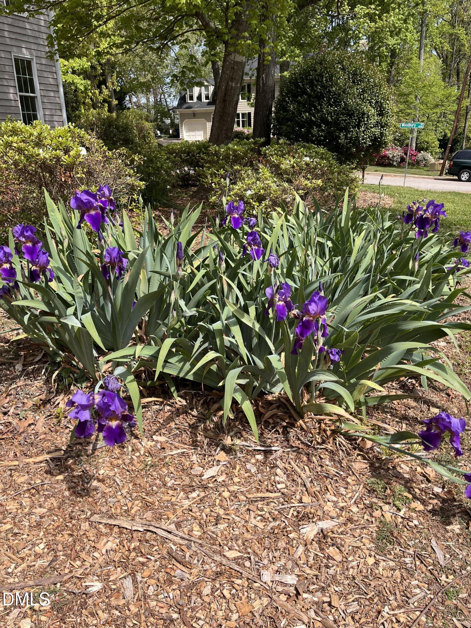 4413 Densmore Place Raleigh, NC 27612 - Photo 6 of 9 Photo Apr 09 2026, 11 42 47 AM