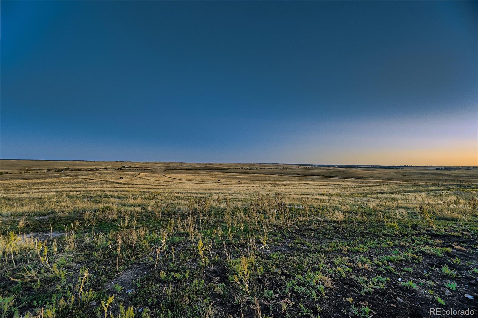 28242 Stone Horse Ranch Road Elbert, CO 80106 - Photo 24 of 39 a view of an ocean