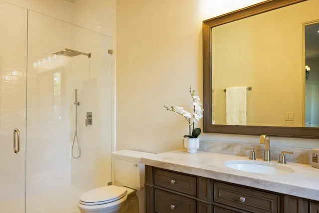 a living room with couch and a large tree