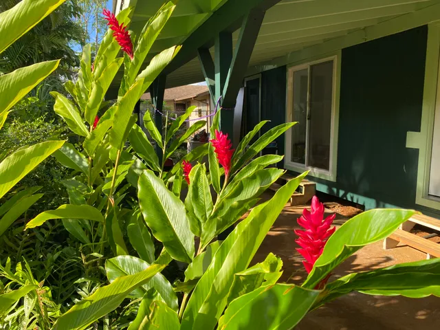 $1,100,000 | 5117 Lokene Street, Kapaa, HI 96746