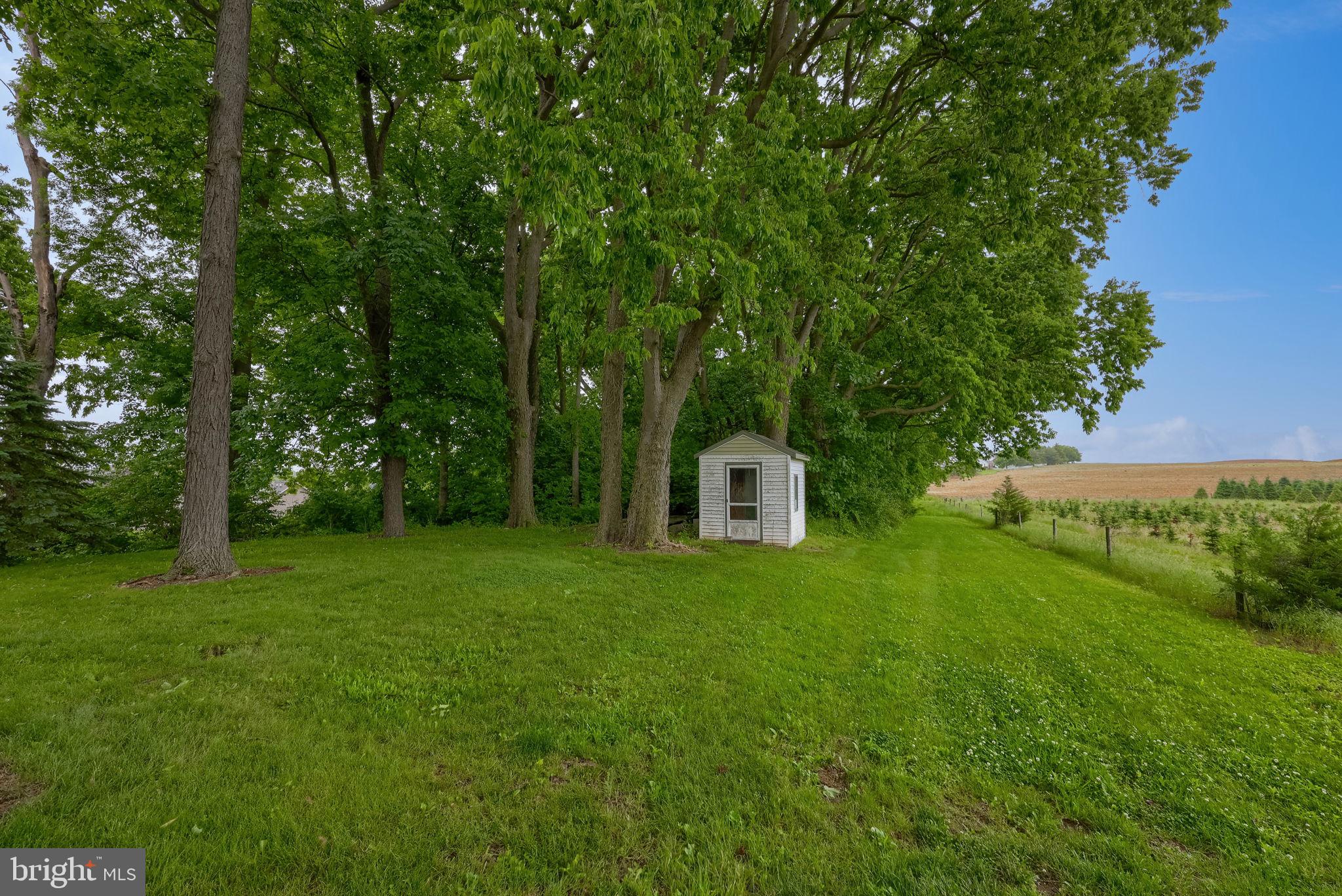 145 Weaver Road Lancaster, PA 17603 - Photo 17 of 87 Side yard