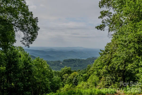 $1,190,000 | 42 Wild Magnolia Way, Zirconia, NC 28790