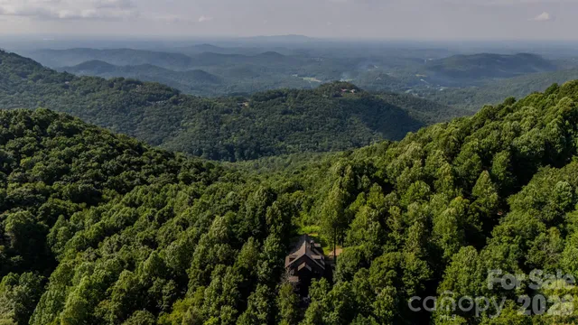 $1,495,000 | 42 Wild Magnolia Way, Zirconia, NC 28790