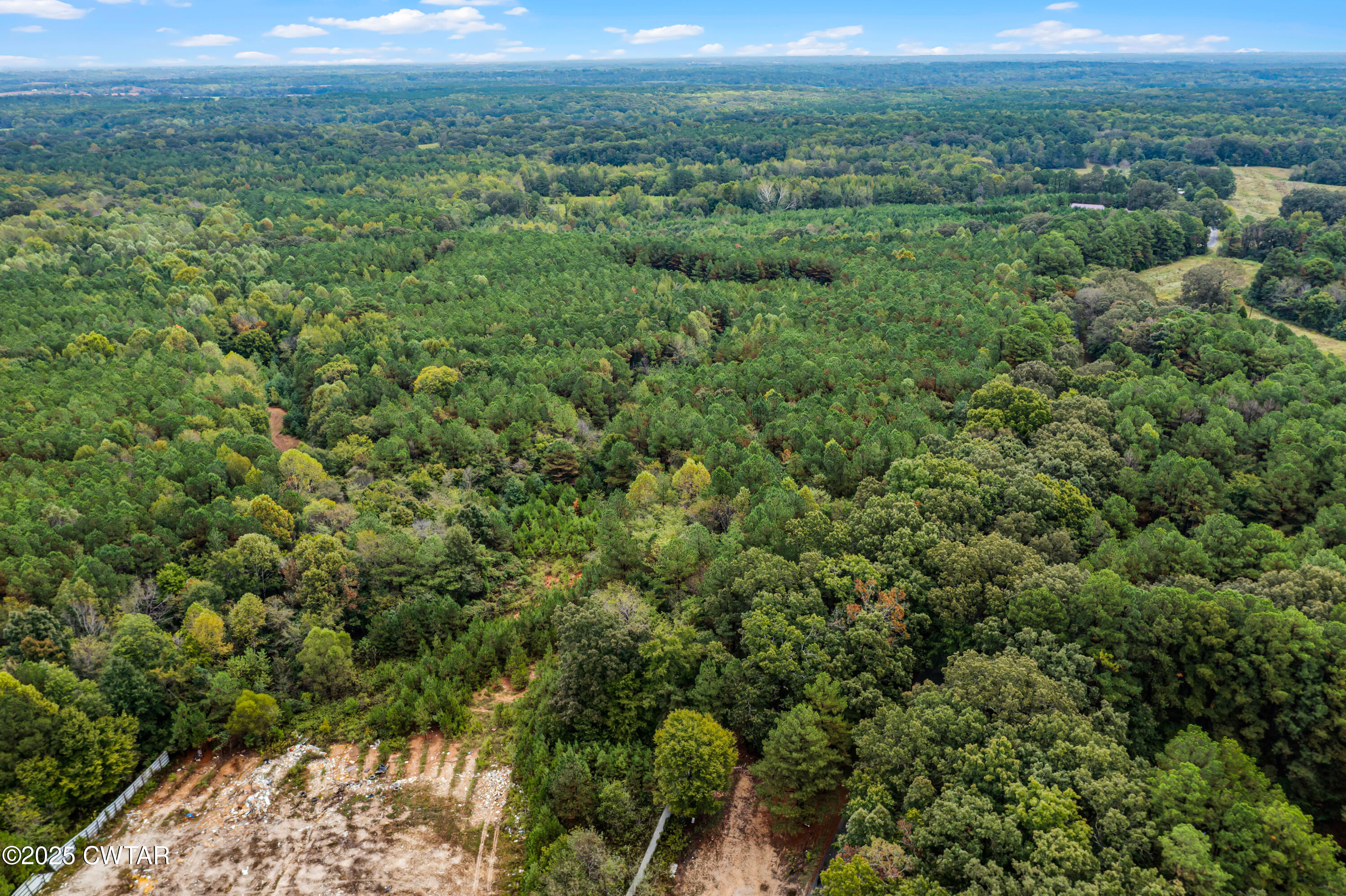 0 Rawls Road Palmersville, TN 38241 - Photo 4 of 6 DJI_0982