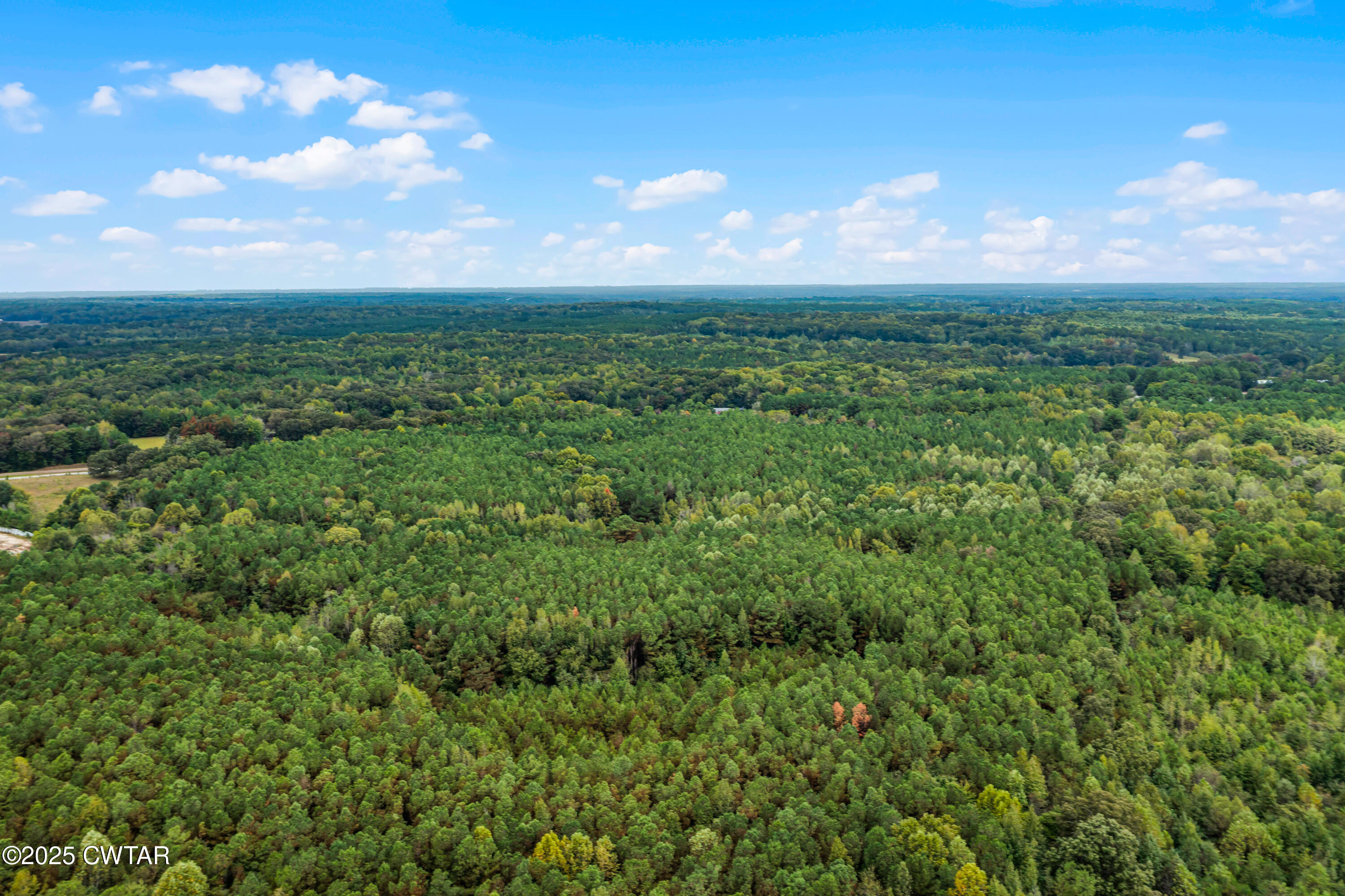 0 Rawls Road Palmersville, TN 38241 - Photo 6 of 6 DJI_0991