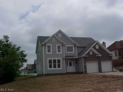 811 Brook Road Wadsworth, OH 44281 - Photo 1 of 1