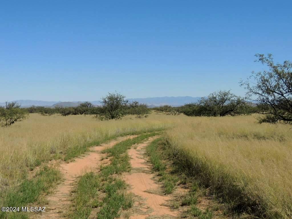40 Ac - 1/4 M W Off Stronghold Road Cochise, AZ 85606 - Photo 1 of 17
