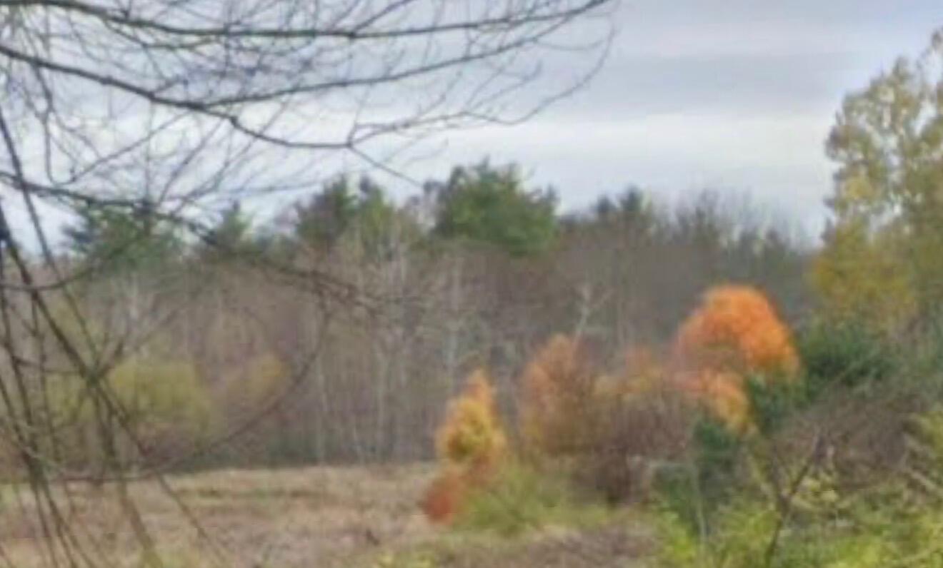 265 Webber Hill Road Kennebunk, ME 04043 - Photo 2 of 4 IMG_9057