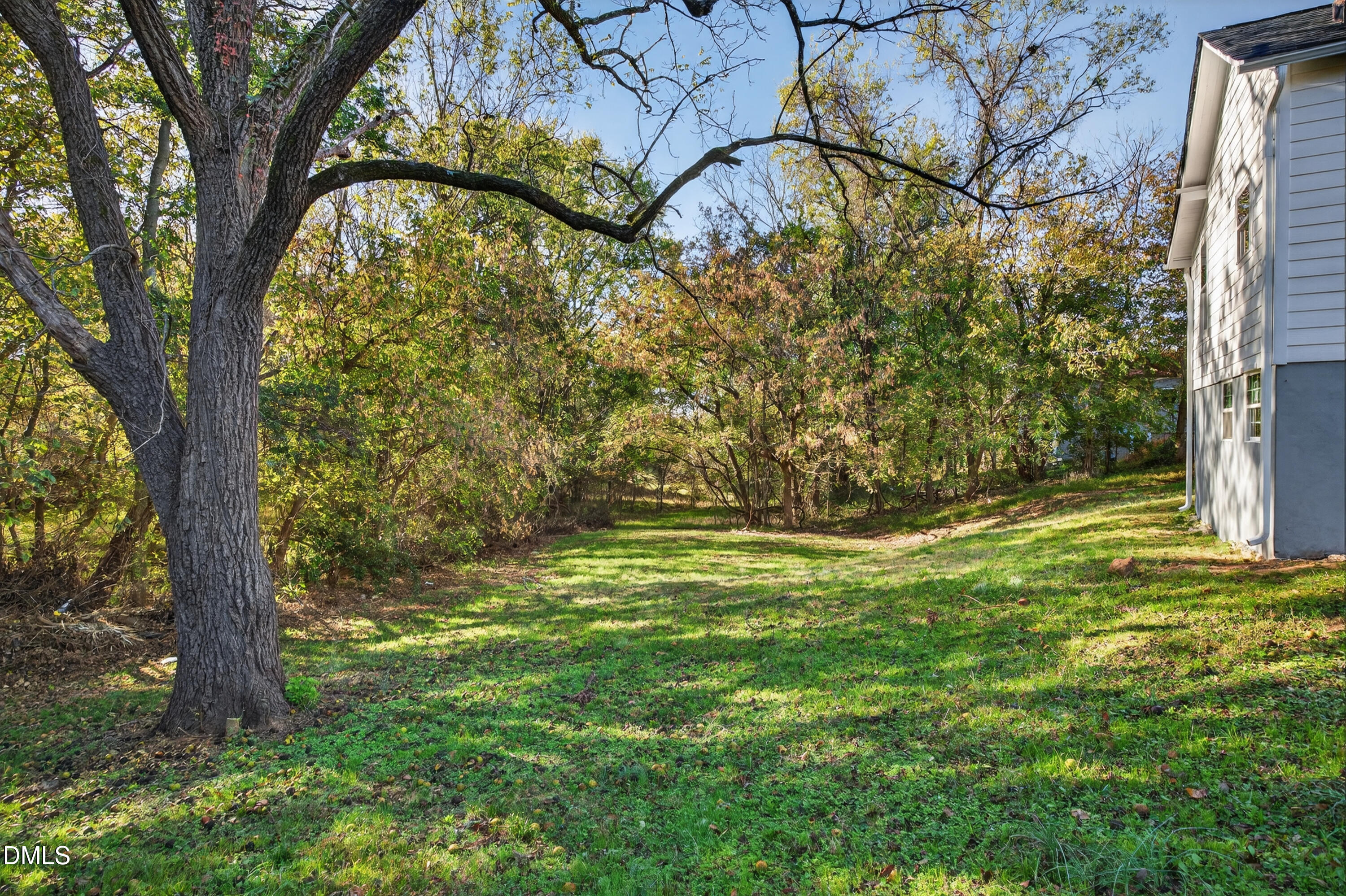 1043 George Bason Road Graham, NC 27253 - Photo 25 of 30 a view of a yard with a tree