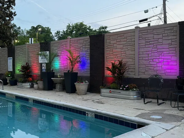 a potted plants sitting in front of a house
