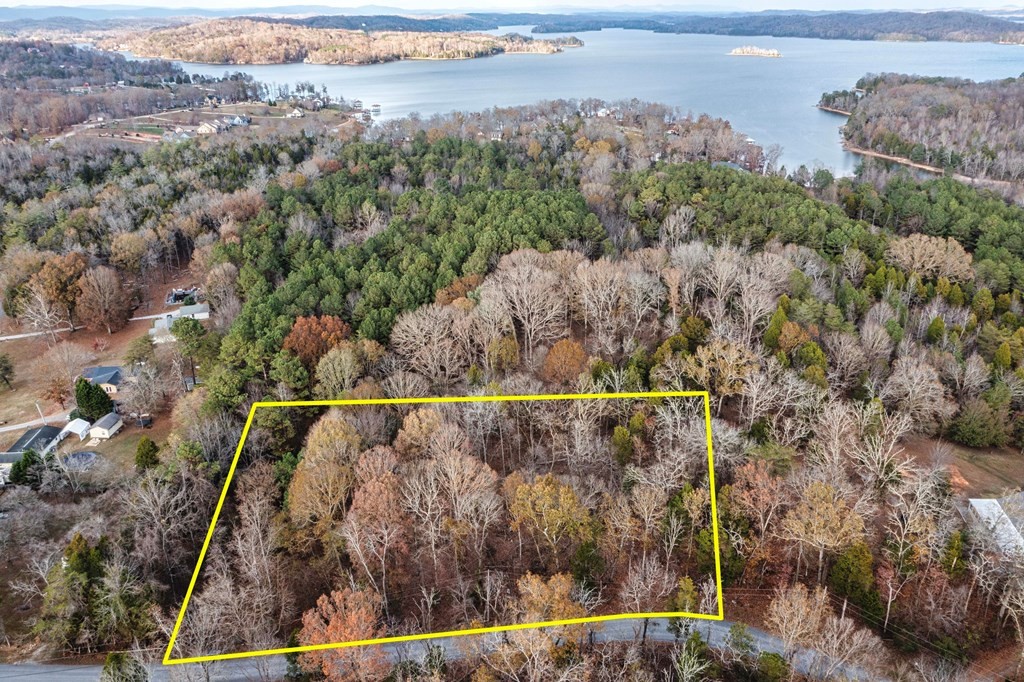 0 Pin Hook Road Spring City, TN 37381 - Photo 2 of 9 a view of a city
