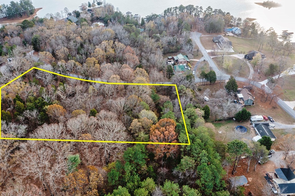 0 Pin Hook Road Spring City, TN 37381 - Photo 4 of 9 an aerial view of residential house with outdoor space and swimming pool