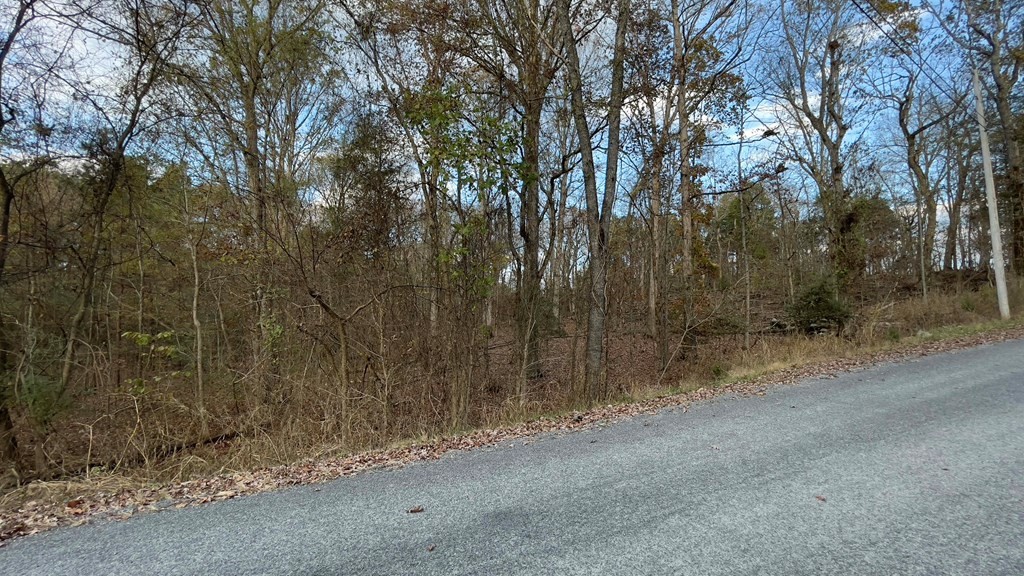 0 Pin Hook Road Spring City, TN 37381 - Photo 8 of 9 a view of a field with trees in the background