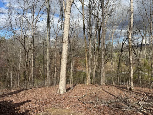 $335,000 | 67 Shady Oaks Drive, Dunlap, TN 37327