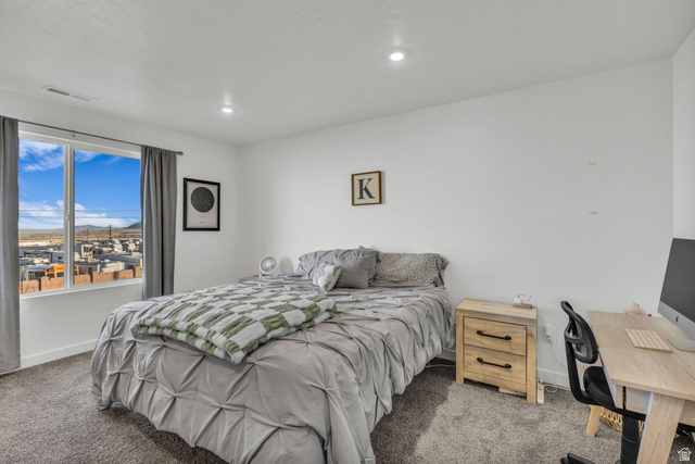291 East Serenity Avenue Tooele, UT 84074 - Photo 13 of 22