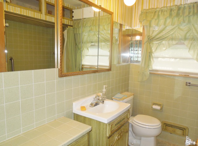436 Russell Road DeKalb, IL 60115 - Photo 11 of 19 a bathroom with a sink toilet and shower