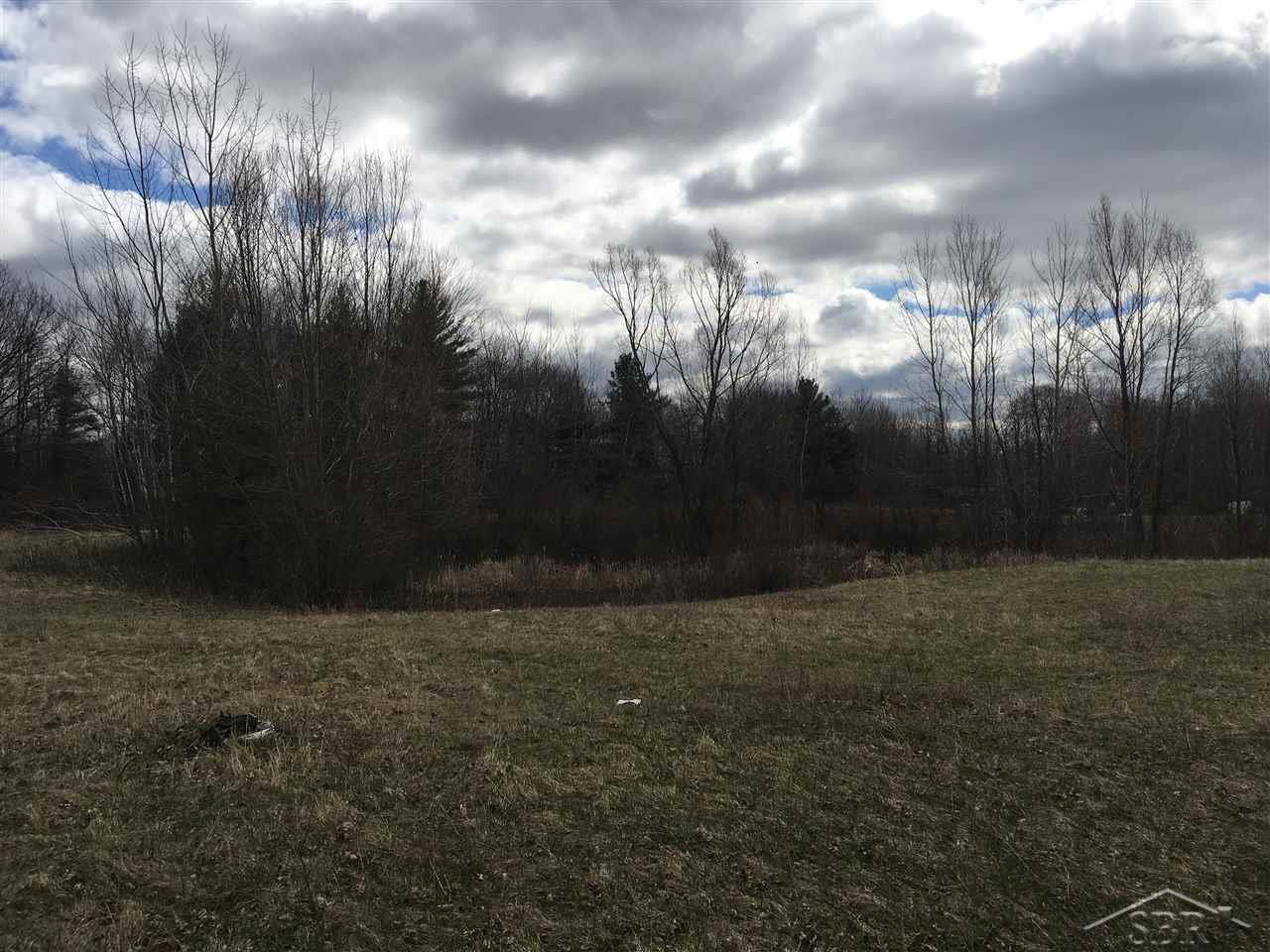 9681 Elms Road Birch Run, MI 48415 - Photo 25 of 26